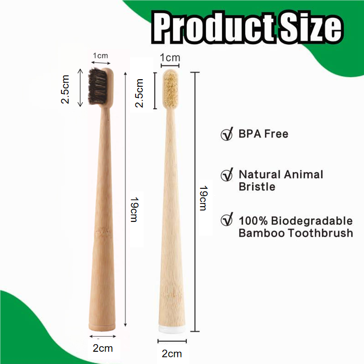 Paquete de 4 cepillos de dient - Bamboo Toothbrush reseña y precio